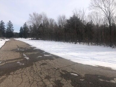 4568 Lake Pines Ln, Berrien Springs, MI 49103 - photo 4