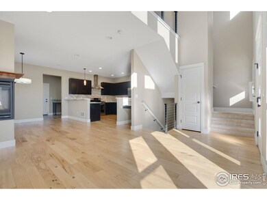 538 Cajetan St, Fort Collins, CO 80524 - photo 3