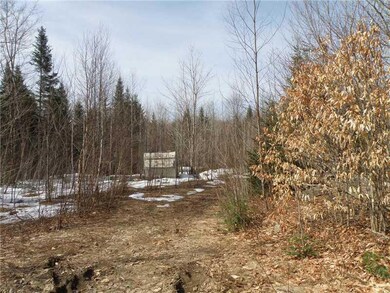 Land/Lot. Driveway- travel trailer...