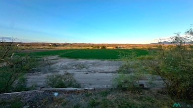 View of yard with a view of rural / pastoral area