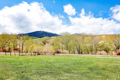 701 N St Charles St, Salmon, ID 83467 - photo 4