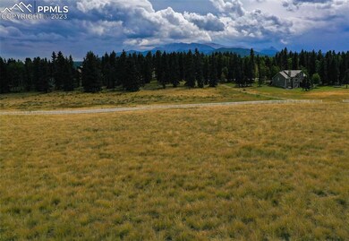 195 Joshua Rd, Divide, CO 80814 - photo 4