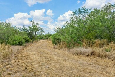 1121 Other, Alice, TX 78342 - photo 6