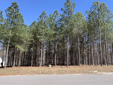 5140 Crockett Point, Jasper, TN 37347 - photo 4