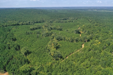 0 Old Windmill Rd unit 24711444, Ridgeway, SC 29130 - photo 2