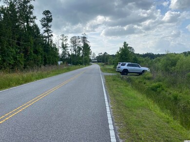 Lot 2 Berley Mc Rd, Conway, SC 29526 - photo 4