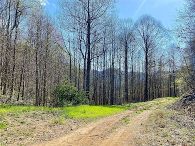 7858 Big Laurel Rd, Marshall, NC 28753 - photo 2