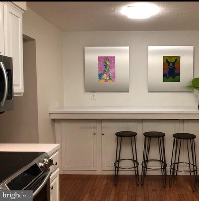 13971 Big Yankee Ln, Centreville, VA 20121 - photo 5