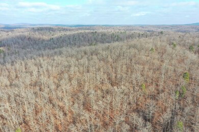 Tbd County Road 118, Annapolis, MO 63620 - photo 4