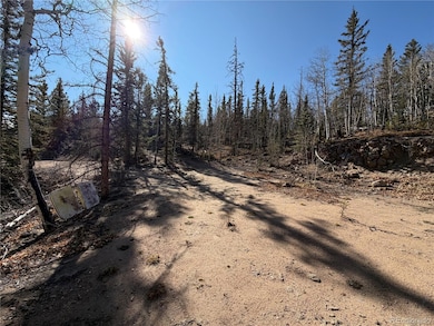 2201 Overland Cir, Jefferson, CO 80456 - photo 3