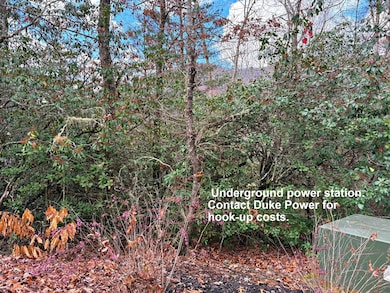 Lot 17 Blue Cedar Rd, Sylva, NC 28779 - photo 6