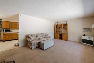 4-web-or-mls-50868 Doe Loop-2