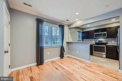 1111 Meridene Dr unit 2, Baltimore, MD 21239 - photo 6