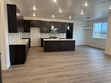 Kitchen featuring decorative light fixtures, tasteful backsplash, dark brown cabinets, appliances with stainless steel finishes, and light wood finished floors