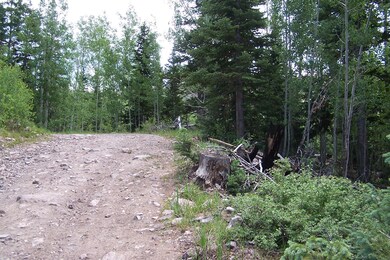Ski Haven Chalet lots 5 and 6 008