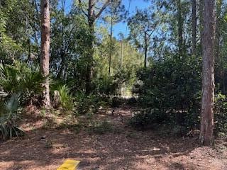 000 129th Ave N, the Acreage, FL 33411 - photo 5