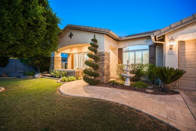 Roxy Cir-2
