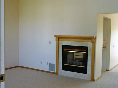 2 sided Gas fireplace