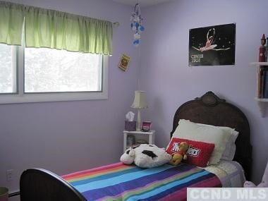 167 Yantz Rd, Red Hook, NY 12571 - photo 5