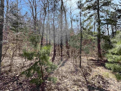 9205 Highway 9, Melbourne, AR 72556 - photo 4