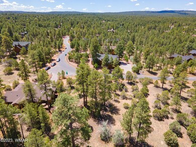 DJI_0345