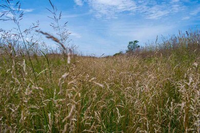 N8477 5th Ave, Camp Douglas, WI 54618 - photo 4