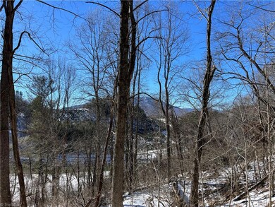 Long Range Views of Mt. Jefferson