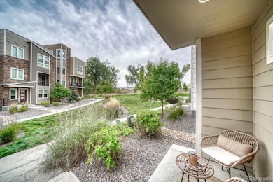 8338 Rivulet Point, Highlands Ranch, CO 80129 - photo 7