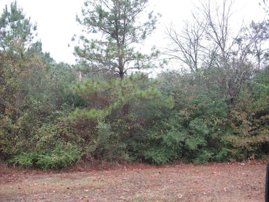 165 White Oak Ln, Lufkin, TX 75904 - photo 4