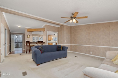 537 Roberts Ridge, Rutledge, TN 37861 - photo 4