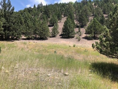 0 Lot 704 Patterson Dr unit 220104618, Canyon City, OR 97820 - photo 4