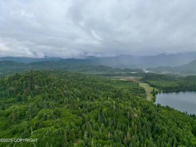 Tr A-2 Pomeroy Rd, Homer, AK 99603 - photo 6