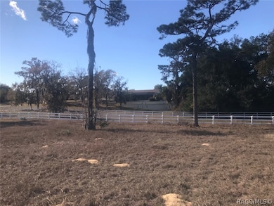 1076 N Spend A Buck Dr, Hernando, FL 34442 - photo 7