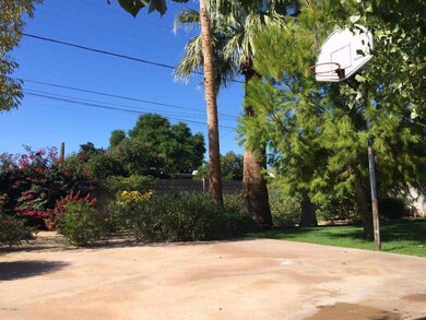 Back yard