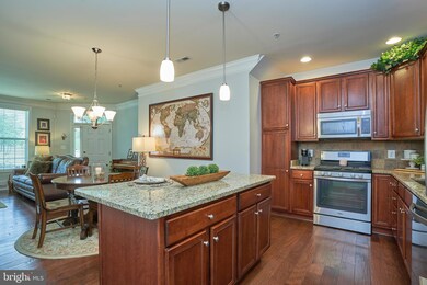 43067 Thoroughfare Gap Terrace, Ashburn, VA 20148 - photo 6