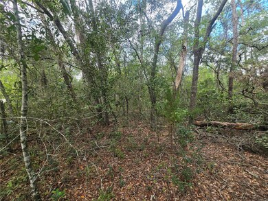 3006 Clearwood St, Inverness, FL 34452 - photo 5