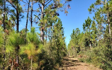 0 SW Spur Rd unit 121583, Lee, FL 32059 - photo 5