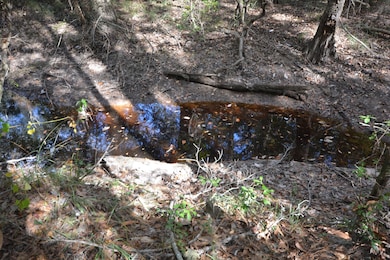 1685 N Margaret, Kirbyville, TX 75956 - photo 3