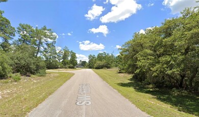 TBD SW 21st Cir, Ocala, FL 34473 - photo 3