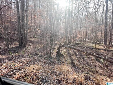 5325 Union T Rd, Talladega, AL 35160 - photo 7