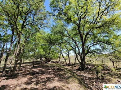 14609 Buckhorn Cemetery Rd, Moody, TX 76557 - photo 4