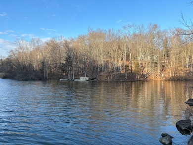 5 Lake Lillinonah Rd N, Bridgewater, CT 06752 - photo 4