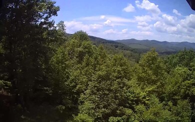 Additional View