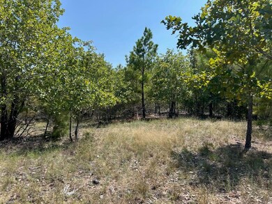 unlisted-address, Bastrop, TX 78602 - photo 3