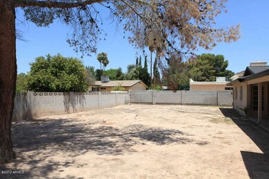 Backyard 2