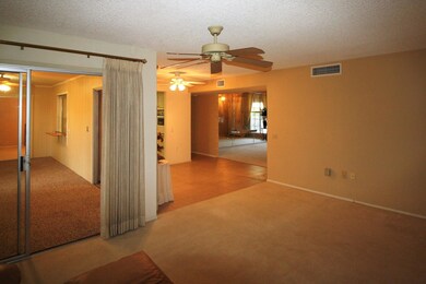 View From Family Room