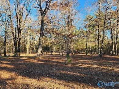 2121 County Road 79, Fort Payne, AL 35967 - photo 6