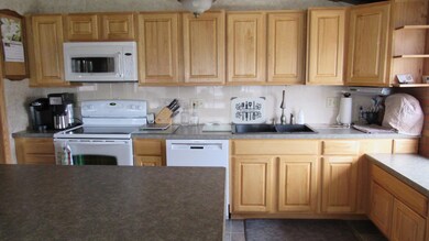 IMG_6587 - Copy