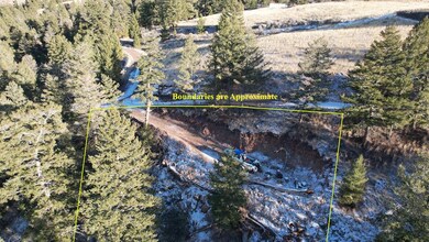 0 Tbd N Shoreline Dr unit LotWP001, Salmon, ID 83467 - photo 3