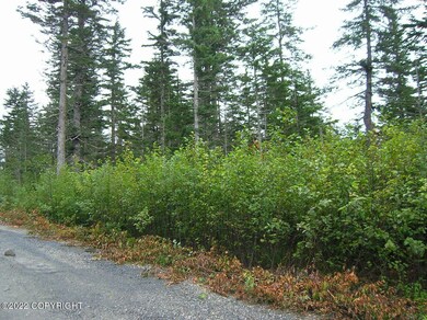 L1 B13 Cove Creek Rd, Whittier, AK 99693 - photo 4